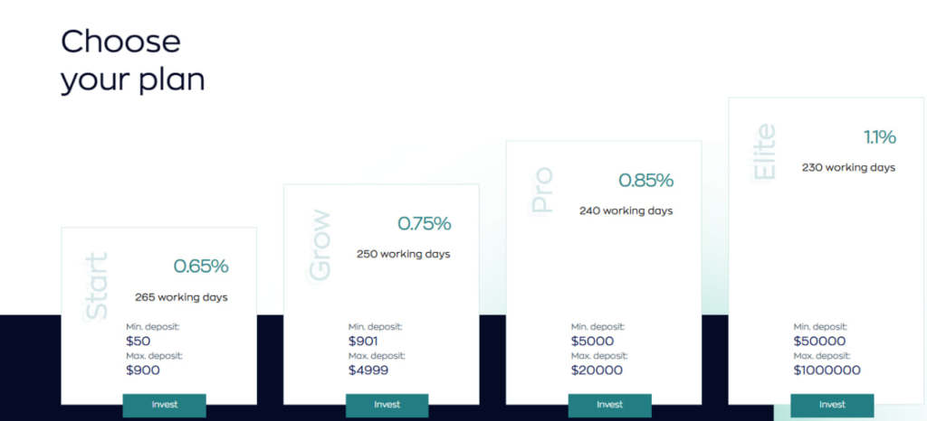 Website screenshot - tariff plans