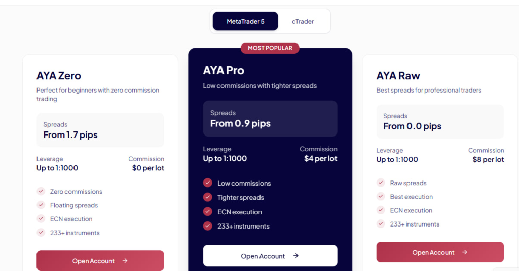 Website screenshot - tariff plans