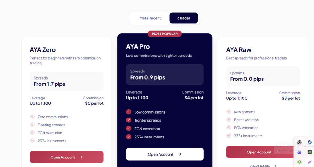 Website screenshot - tariff plans