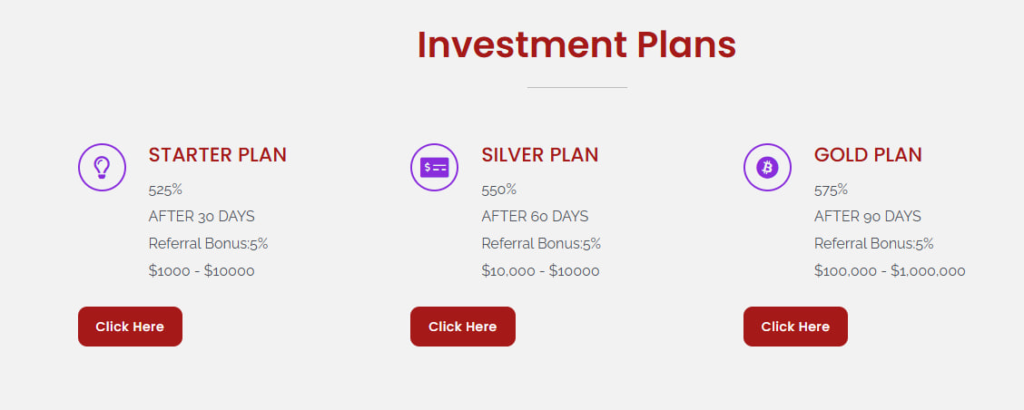 Website screenshot - tariff plans