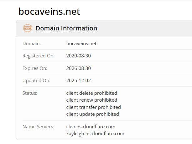 Данные WHOIS