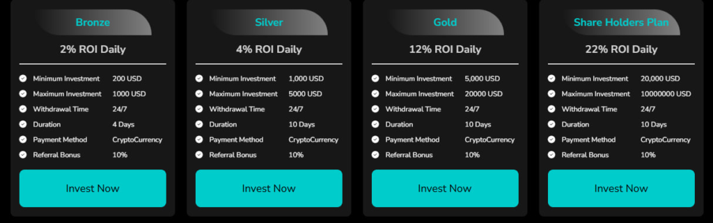 Website screenshot - tariff plans 