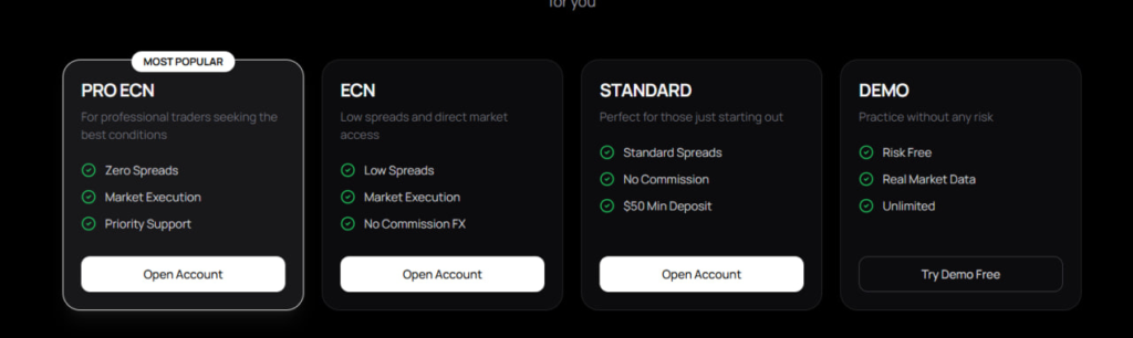 Tariff plans - screenshot from the website