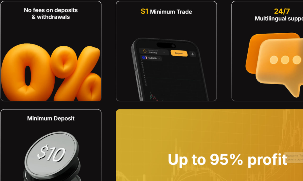 screenshot from the website 