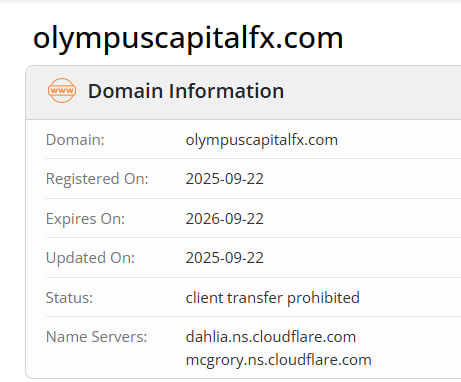 WHOIS data
